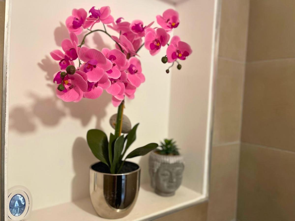 Apartamento *le Royal*havre De Paix*wifi* *